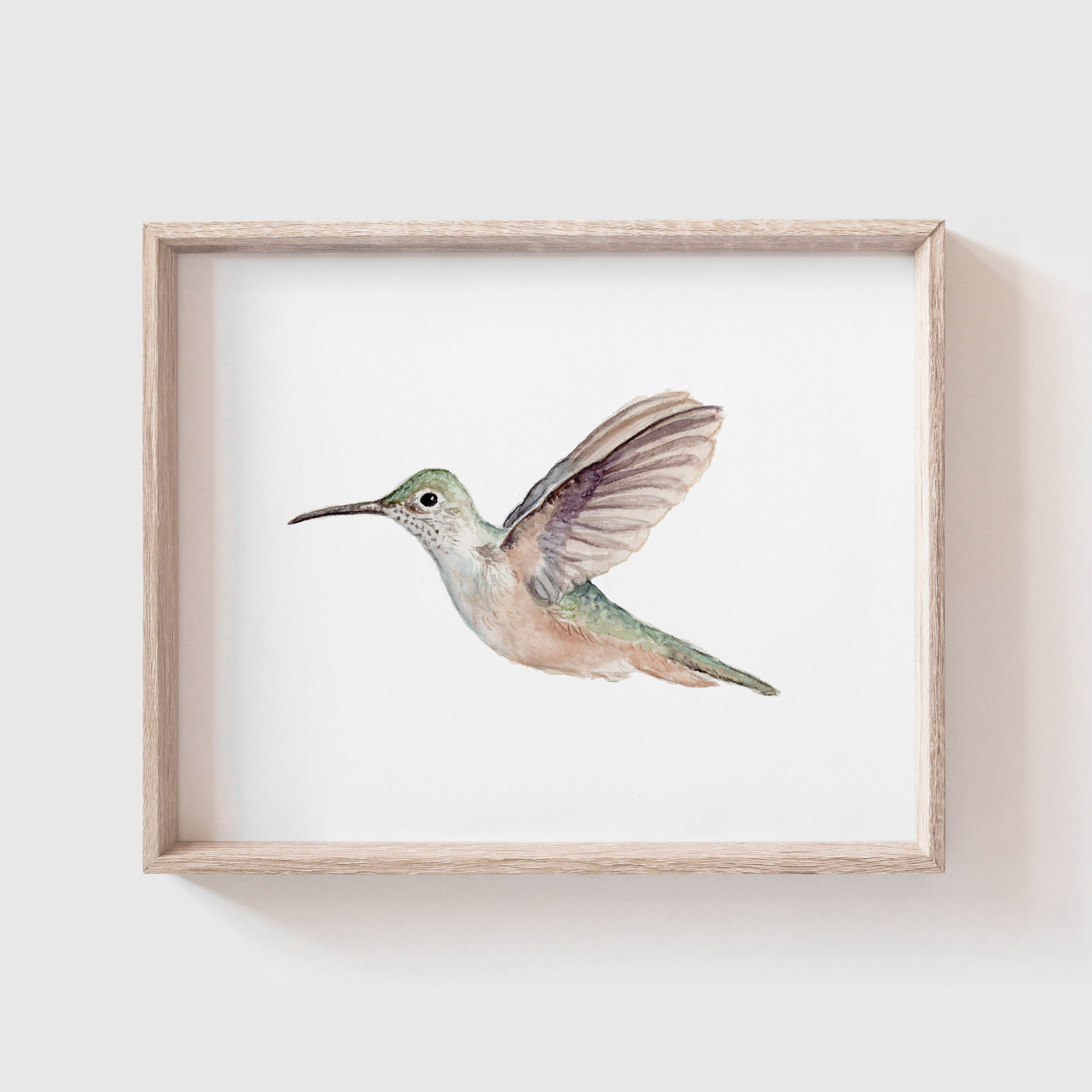 Hummingbird selling Print