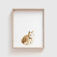 Sleeping Deer Art Print