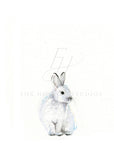 Arctic Bunny Art Print