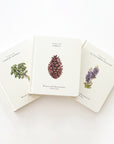 Our Little Adventures Book Set