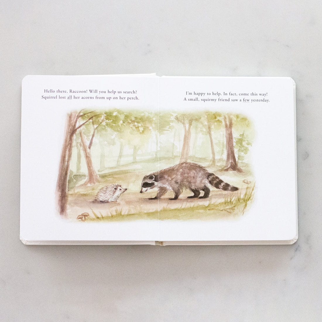 Our Little Adventures Book Set
