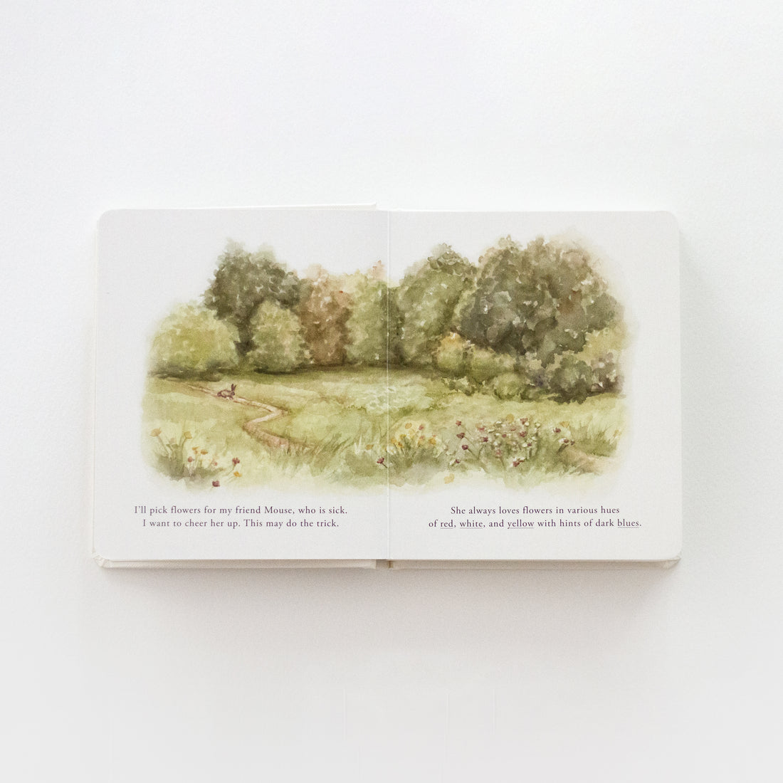 Our Little Adventures Book Set