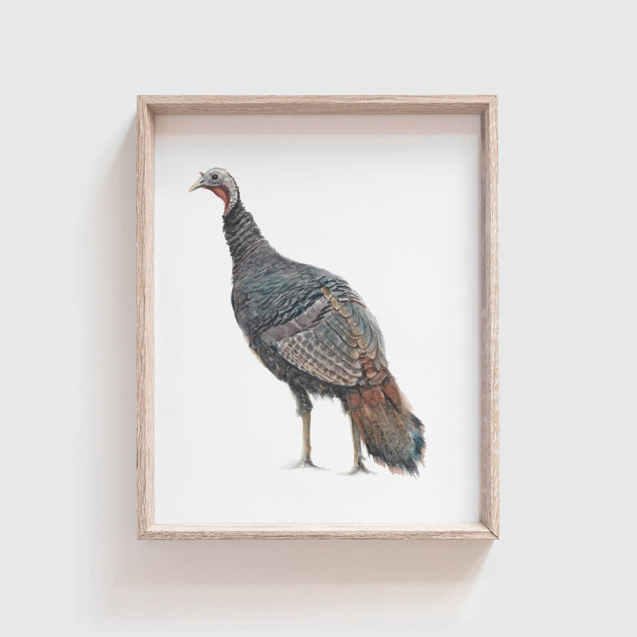 Turkey Art Print | Made in the USA | Fox Hollow Studios – Tabitha