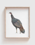 Turkey Art Print
