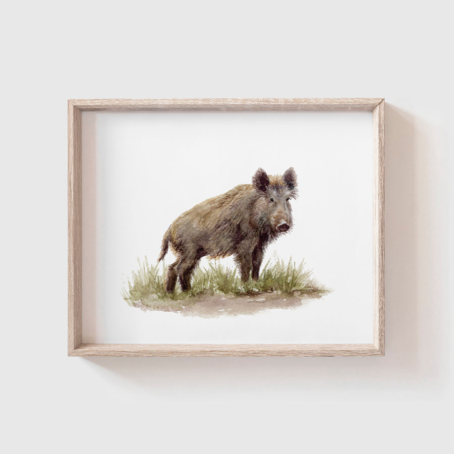 Boar Art Print