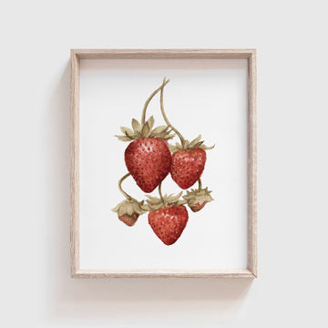 Strawberries Art Print