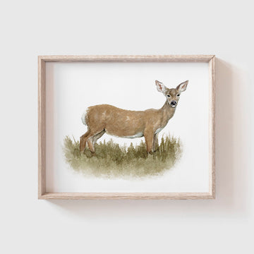 Deer Art Print