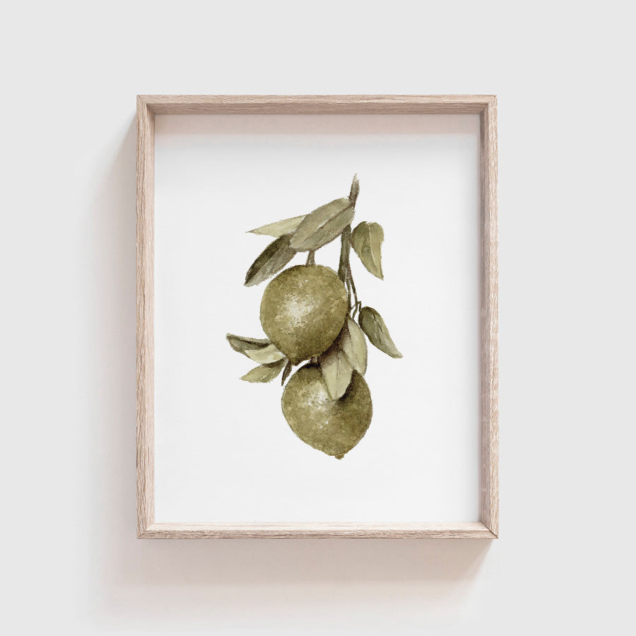 Limes Art Print