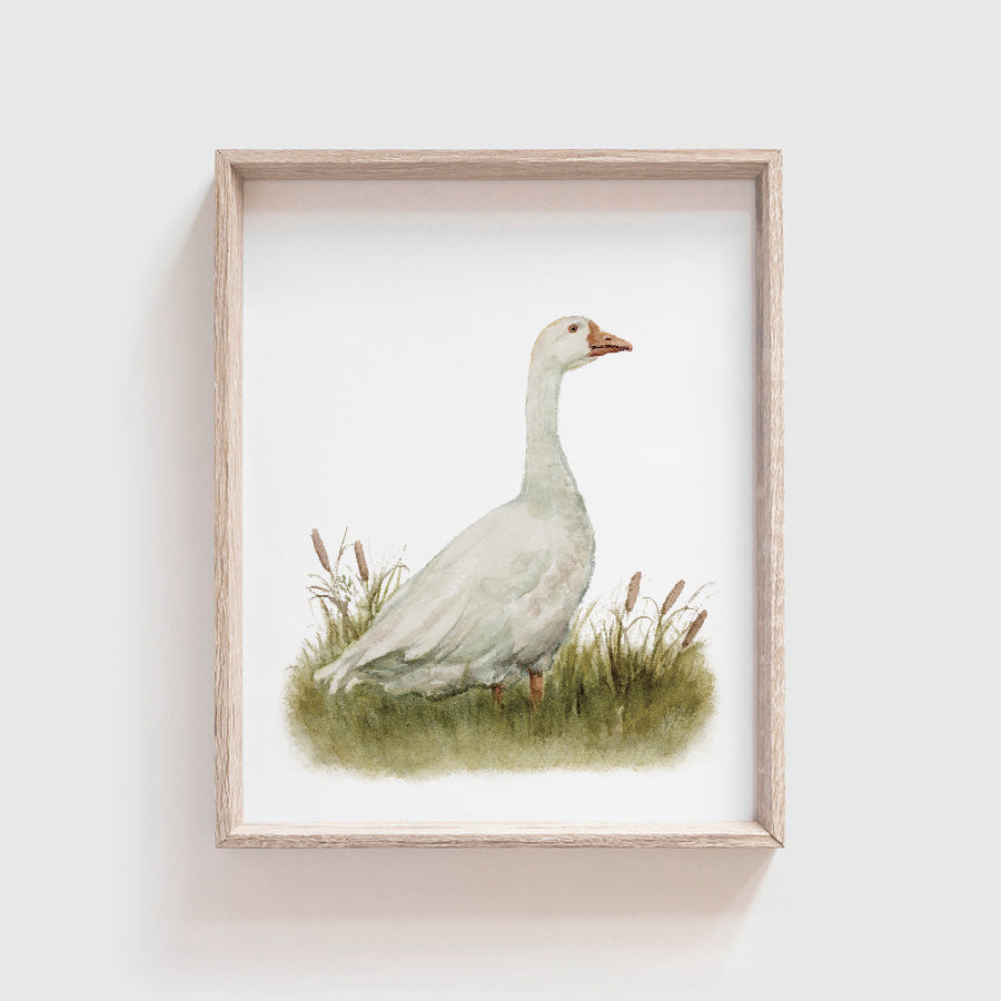 Goose Art Print