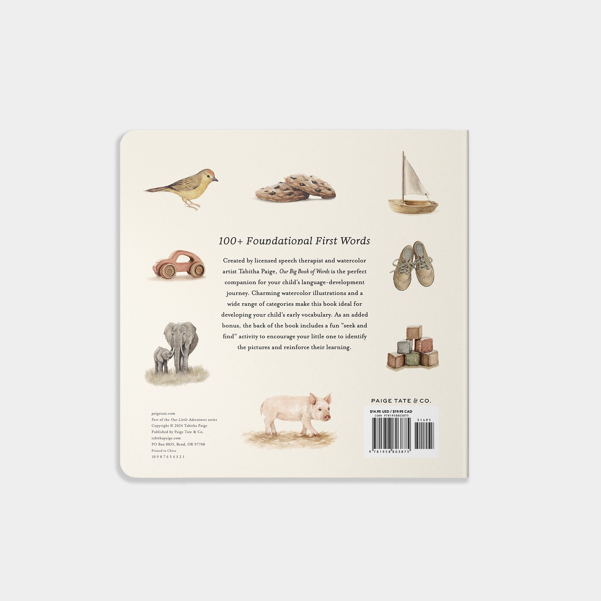 Our Big Book of First Words - Tabitha Paige