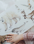Our Big Book of Animals