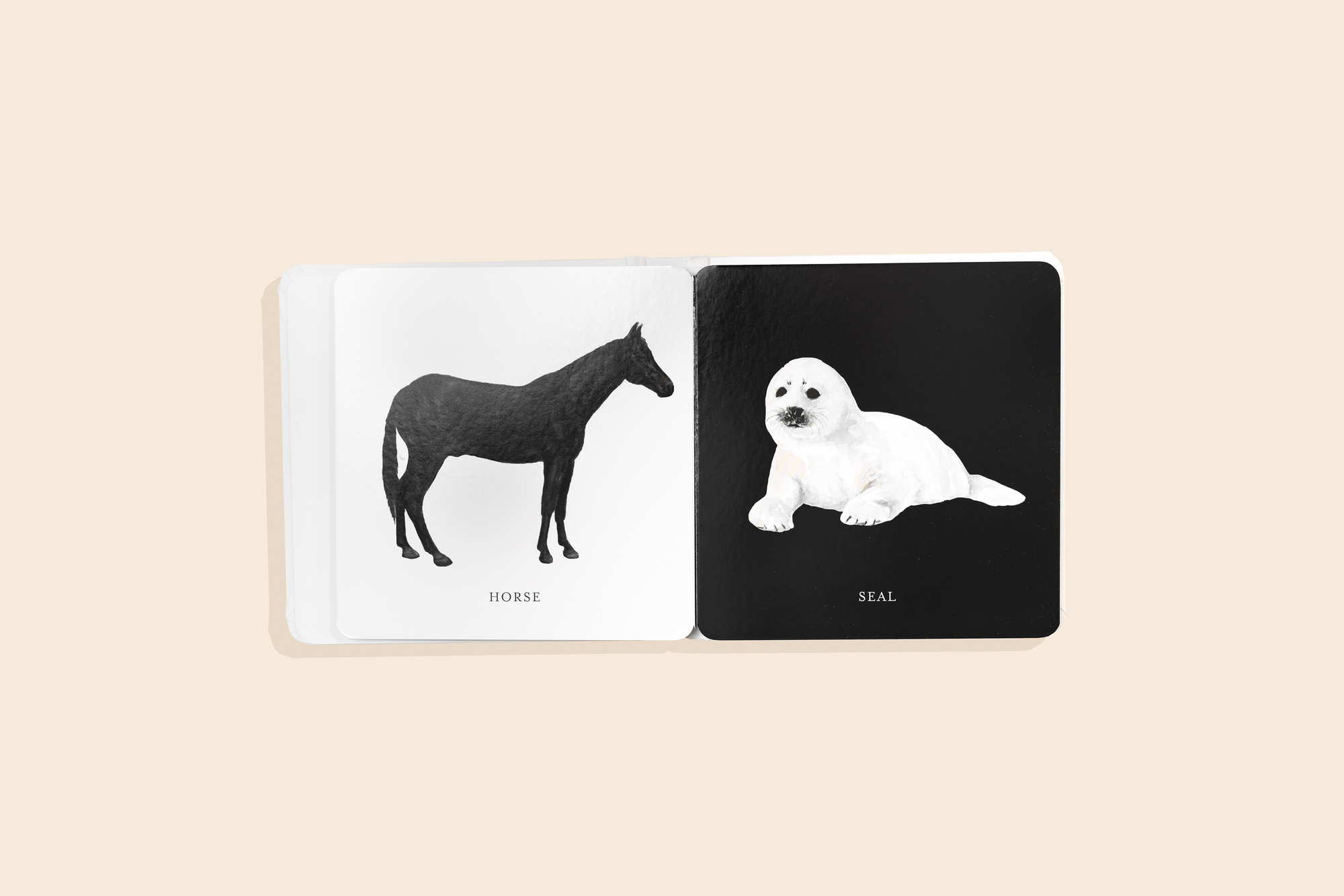 Baby's Black &amp; White Contrast Book