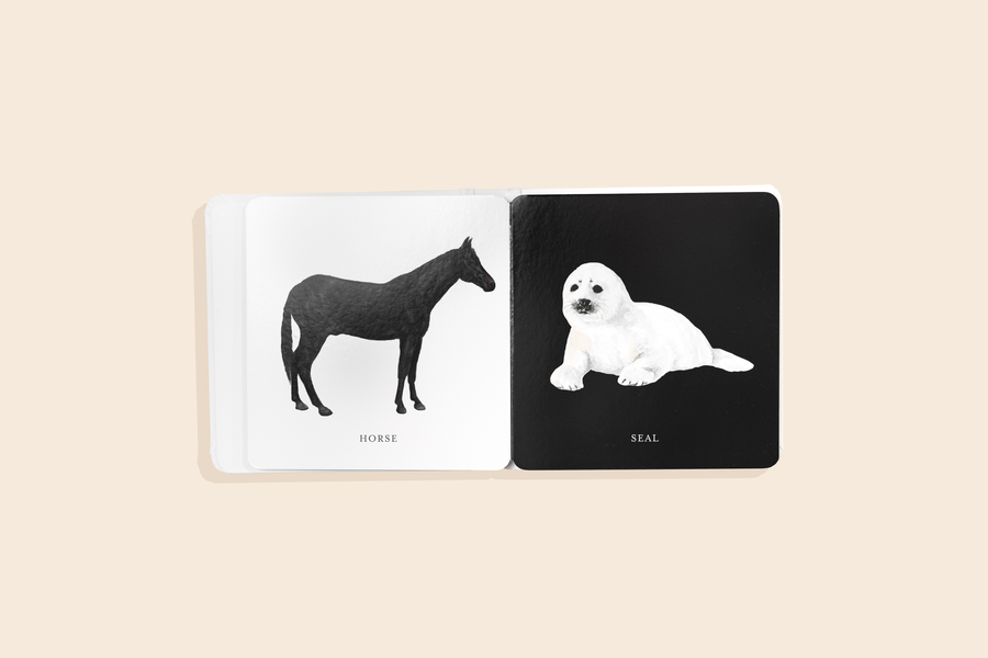 Baby's Black and White Contrast Book: High-Contrast Art Tabitha Paige