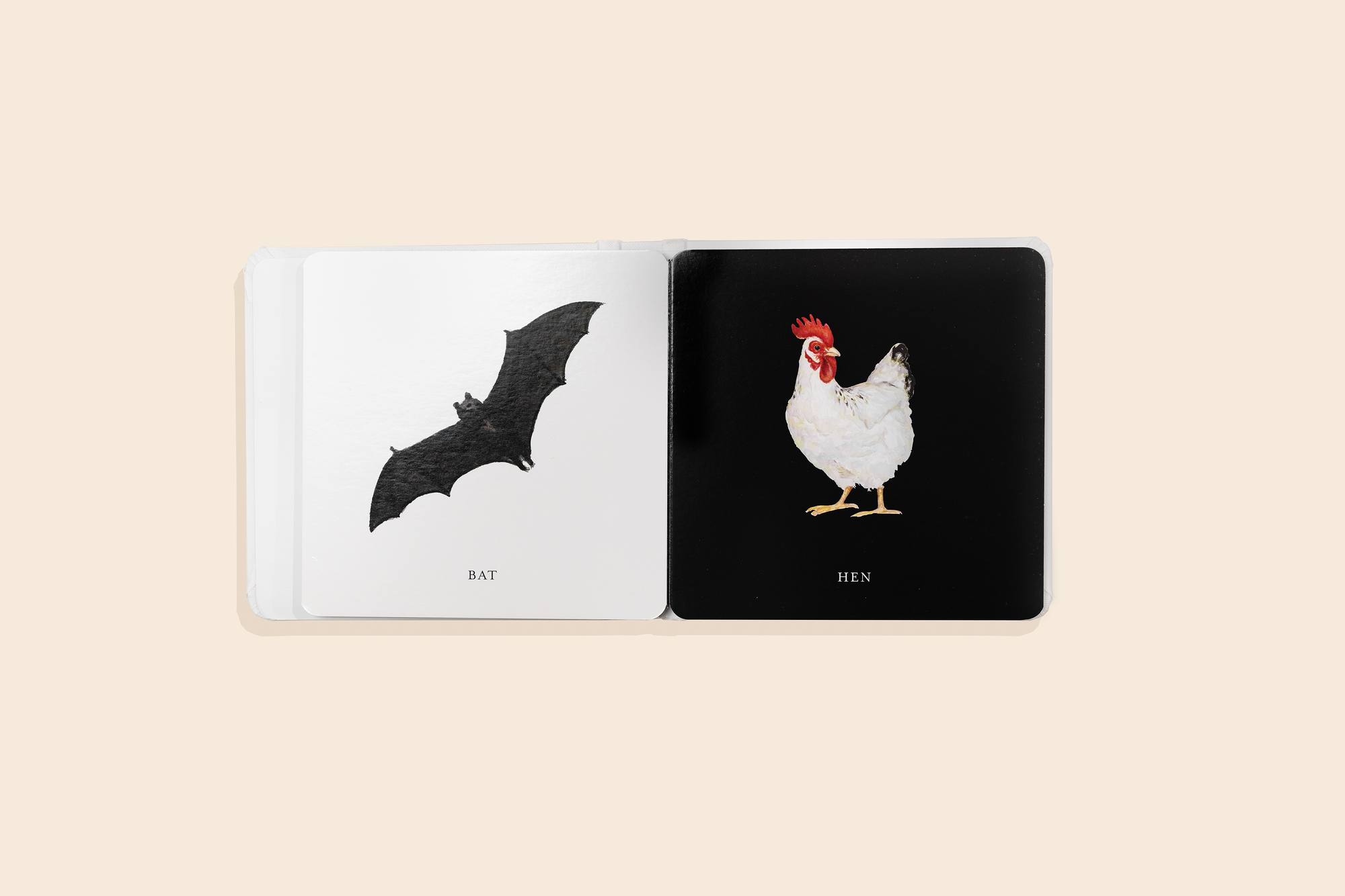 Baby's Black &amp; White Contrast Book