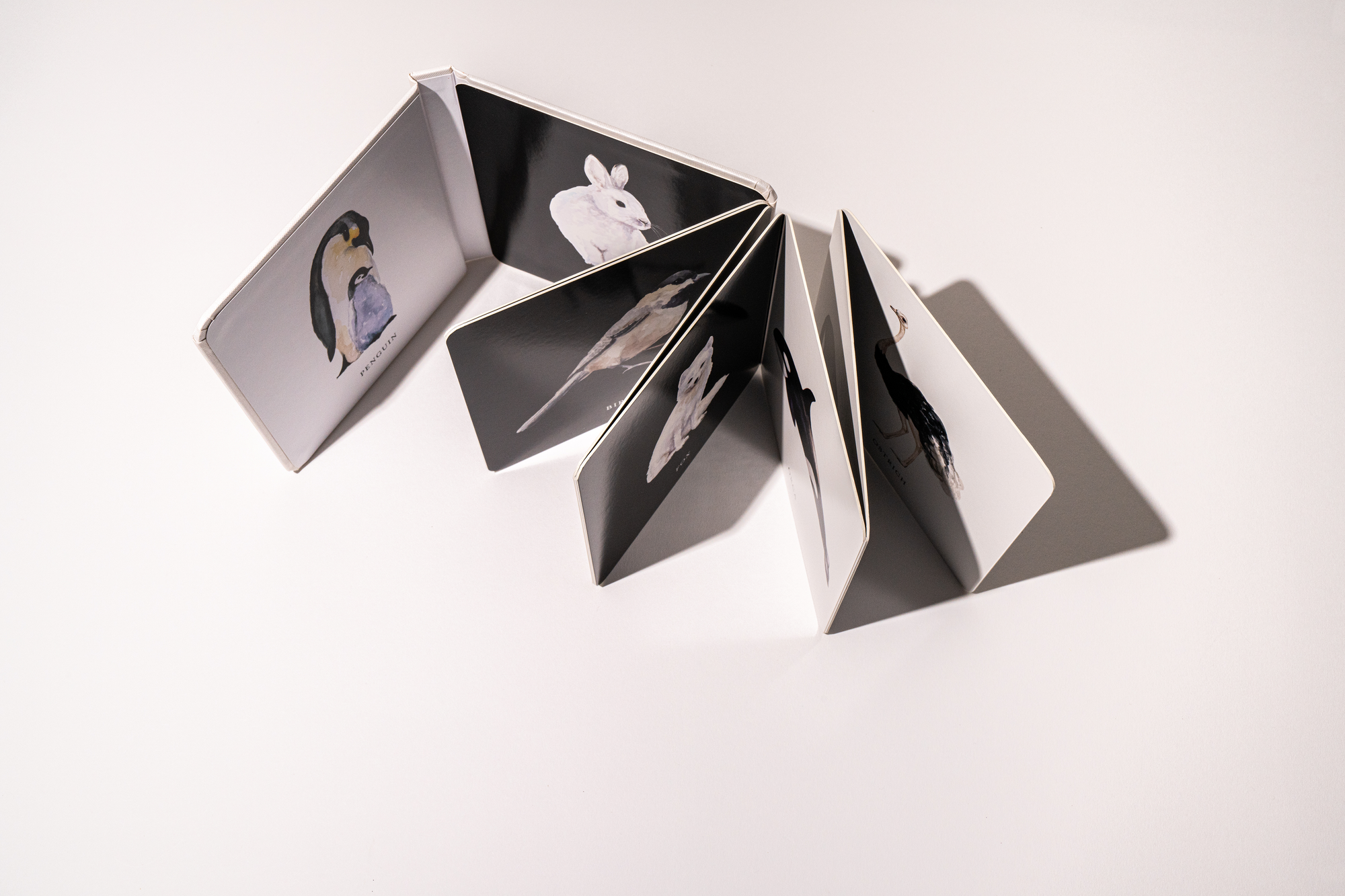 Baby's Black &amp; White Contrast Book