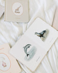 Our Little Library Vol II Book Set