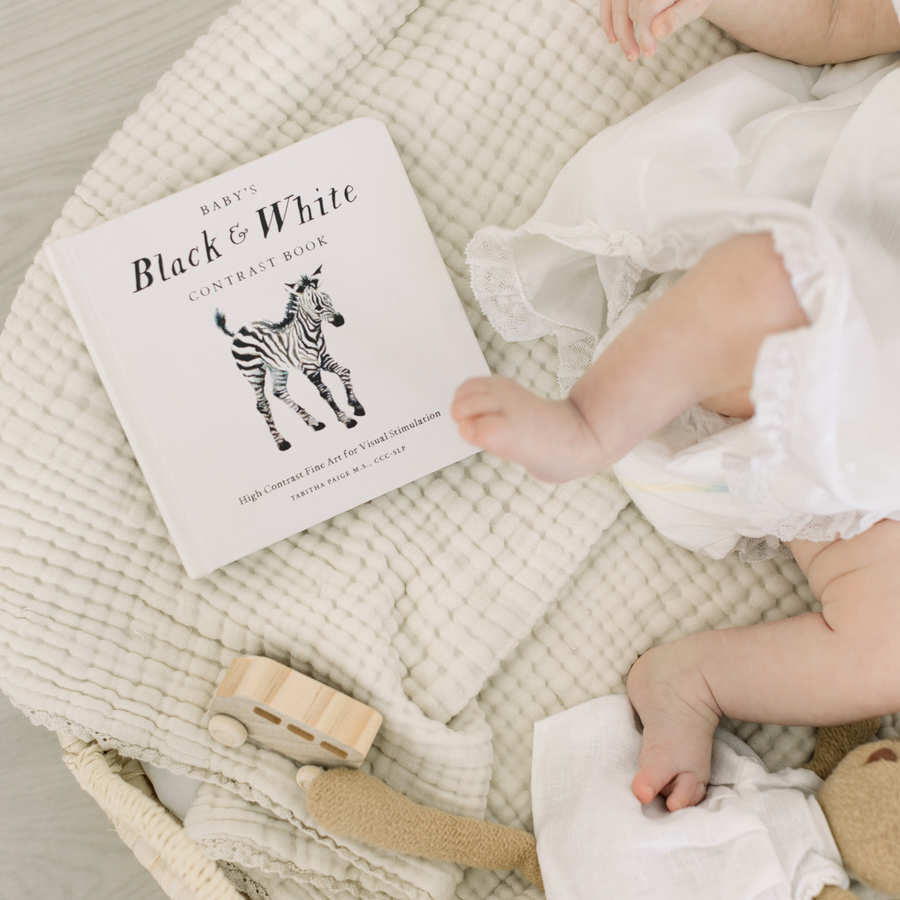 Baby's Black & White Contrast Book