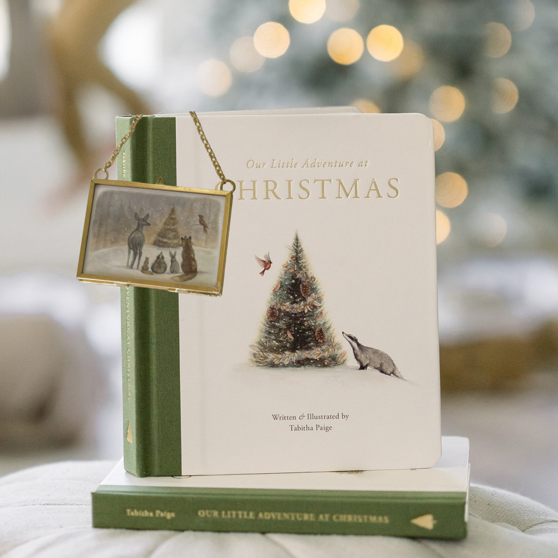 Christmas Book + Ornament Bundle