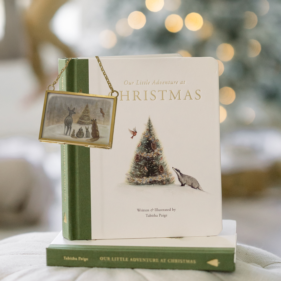 Christmas Book + Ornament Bundle