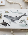 Our Big Book of Animals