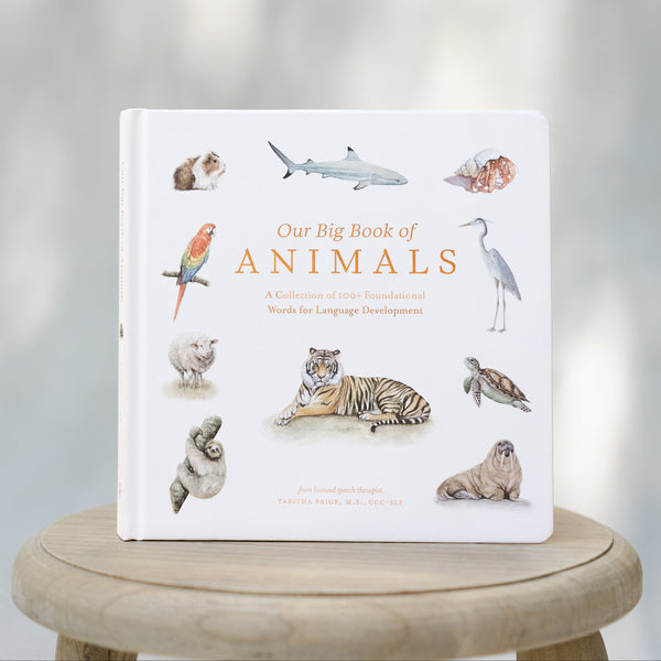 Our Big Book of Animals