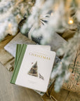 Our Little Adventure at Christmas