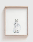 Arctic Bunny Art Print