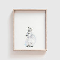 Arctic Bunny Art Print