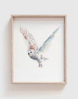 Arctic Owl Art Print