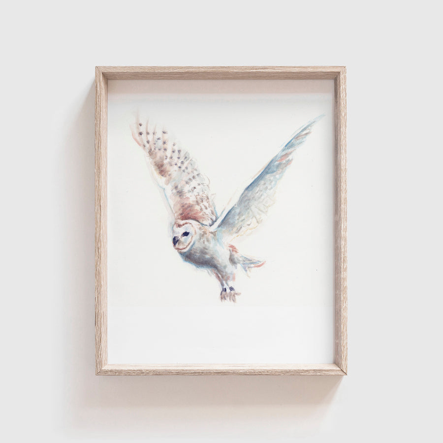 Arctic Owl Art Print