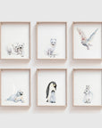 Arctic Seal Art Print