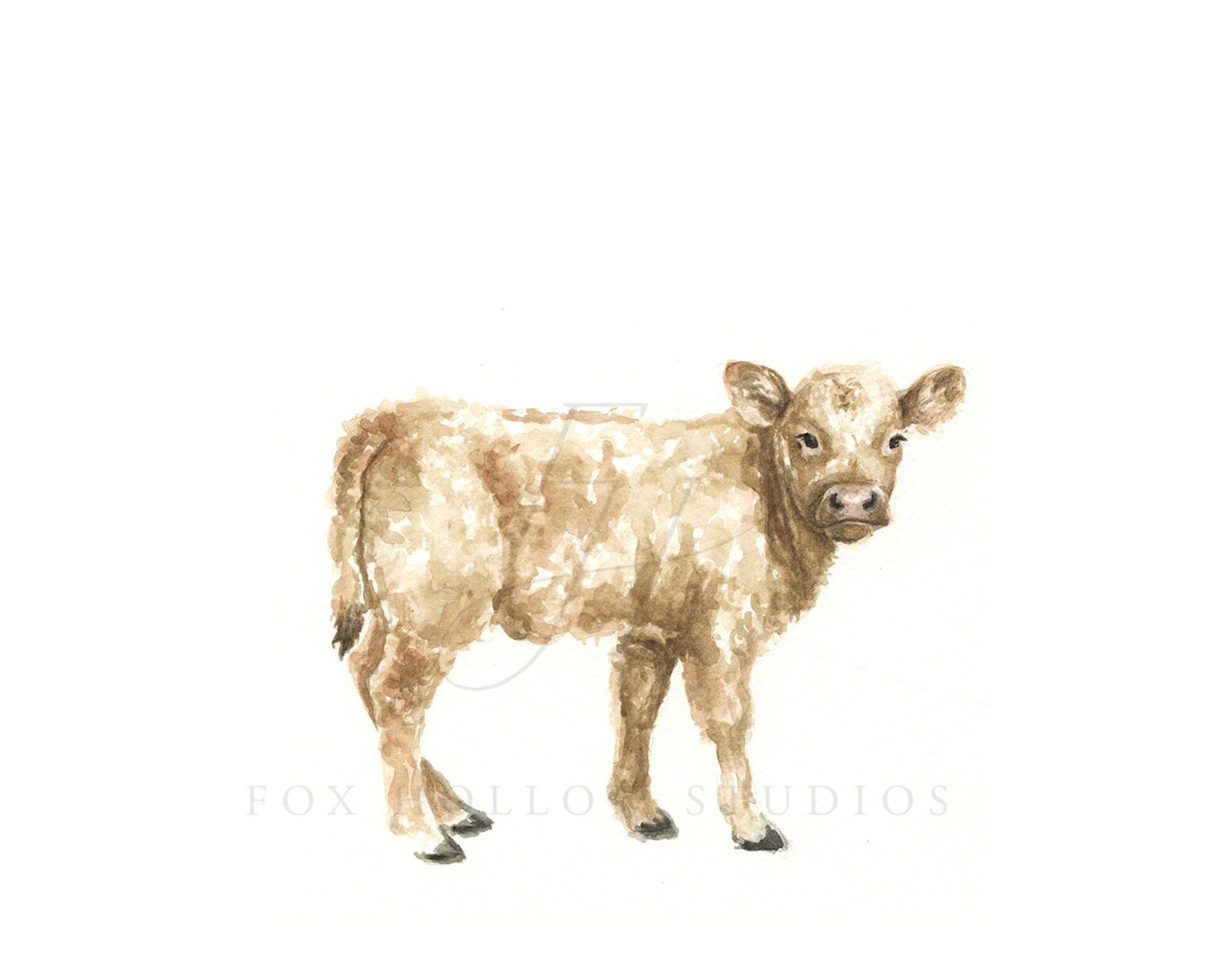 Brown Cow Art Print | Made in the USA | Fox Hollow Studios