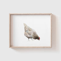 Brown Chicken Art Print