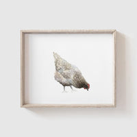 Chickens Art Print Set