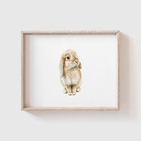 Bunny No. 2 Art Print