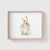 Bunny No. 3 Art Print