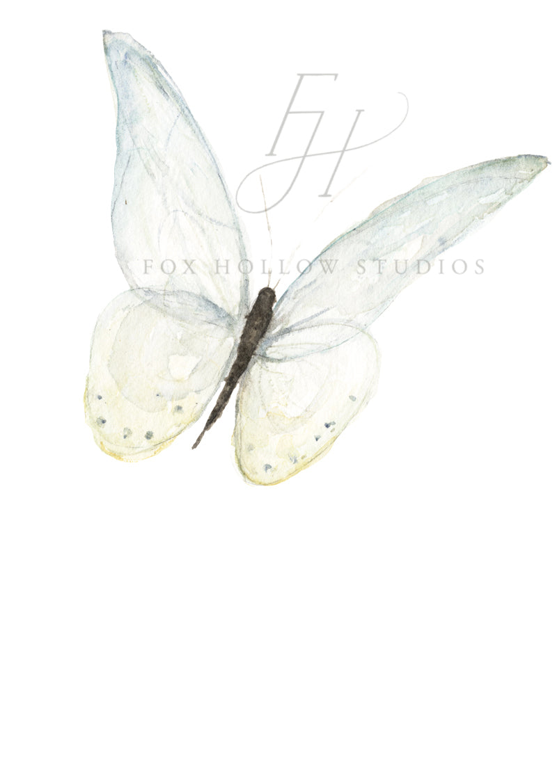 Blue Butterfly Art Print