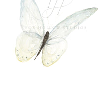 Blue Butterfly Art Print