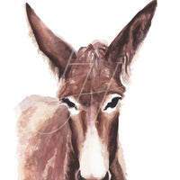 Donkey (Belle) Art Print