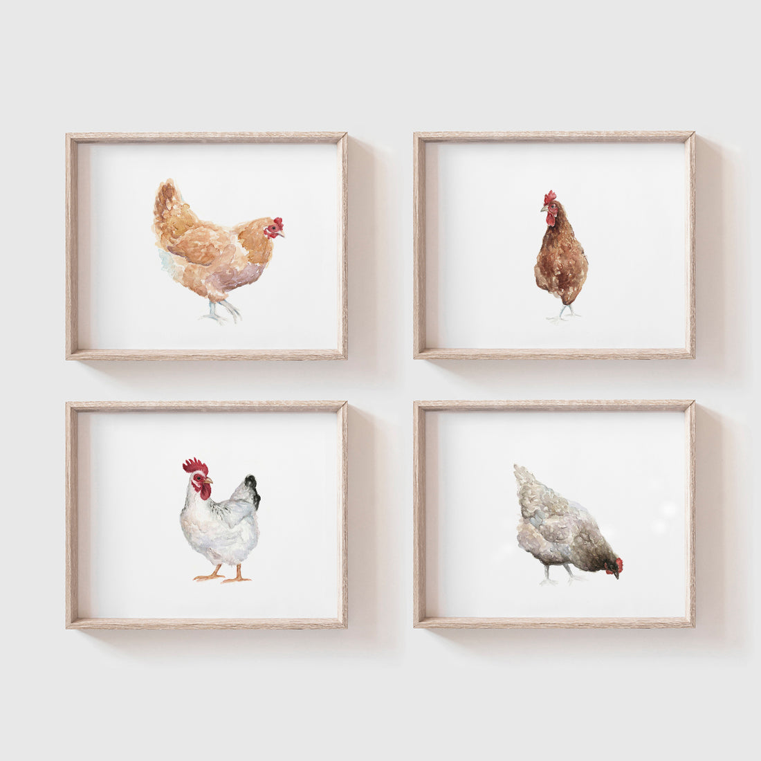 Chickens Art Print Set