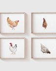 Brown Chicken Art Print