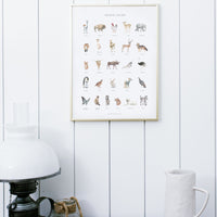 Animal Guide Poster