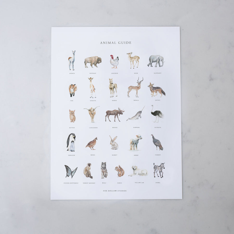 Animal Guide Poster