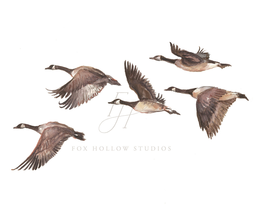 Geese Art Print