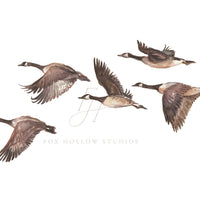 Geese Art Print