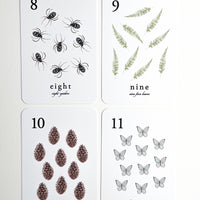 Forest Counting Cards