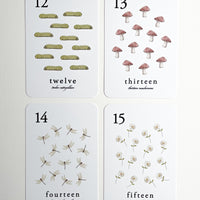 Forest Counting Cards