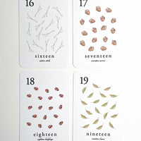 Forest Counting Cards