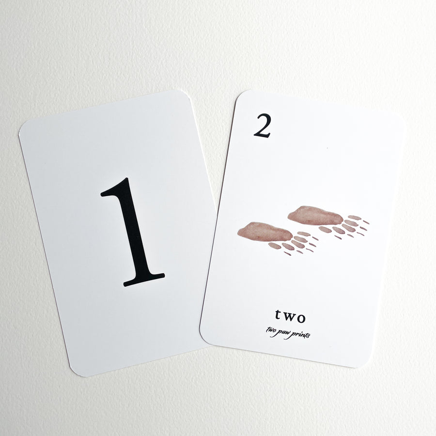 Forest Counting Cards