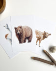 Animal Alphabet Cards
